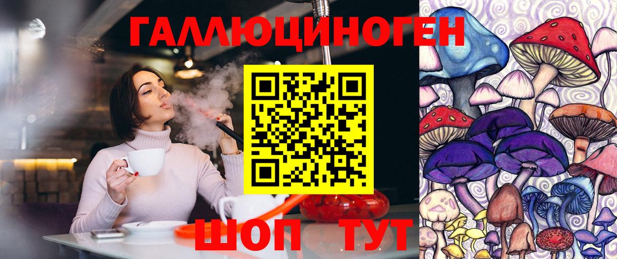 Псилоцибиновые грибы Psilocybe  Вход с VPN  Красноуфимск 